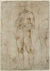Verso: Estudio desnudo para un San Pablo, WA1846.163